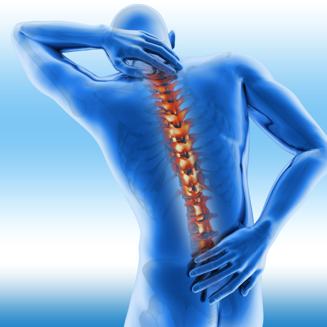 Best Spine Surgery in India Best Spine Surgery in India